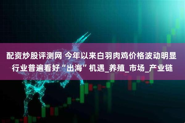 配资炒股评测网 今年以来白羽肉鸡价格波动明显 行业普遍看好“出海”机遇_养殖_市场_产业链